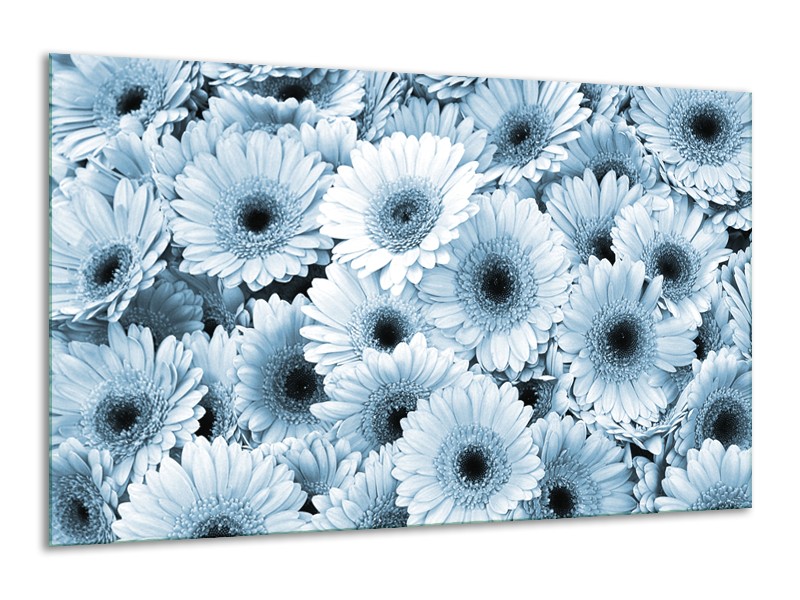 Canvas Schilderij Gerbera, Bloemen | Blauw, Grijs | 120x70cm 1Luik