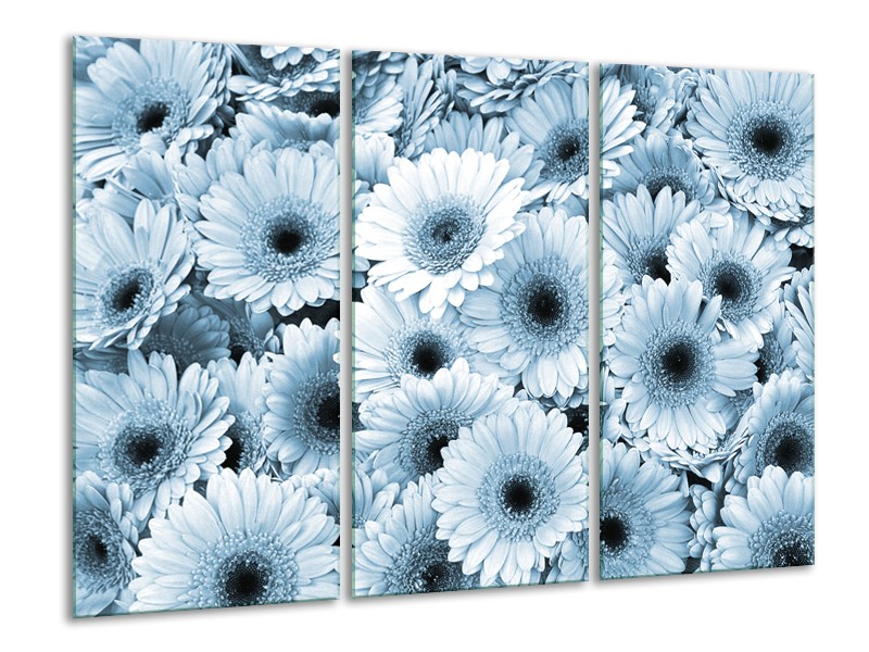 Canvas Schilderij Gerbera, Bloemen | Blauw, Grijs | 120x80cm 3Luik