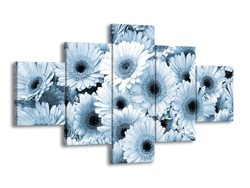 Glasschilderij Gerbera, Bloemen | Blauw, Grijs | 125x70cm 5Luik