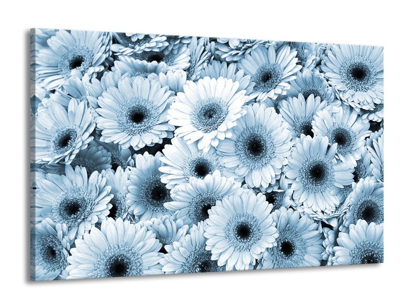 Canvas Schilderij Gerbera, Bloemen | Blauw, Grijs | 140x90cm 1Luik