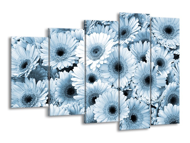 Canvas Schilderij Gerbera, Bloemen | Blauw, Grijs | 150x100cm 5Luik