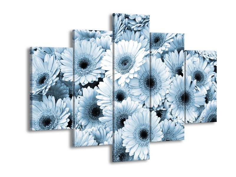 Glasschilderij Gerbera, Bloemen | Blauw, Grijs | 150x105cm 5Luik