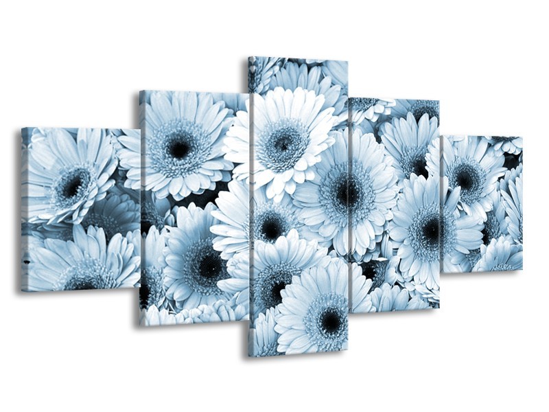 Canvas Schilderij Gerbera, Bloemen | Blauw, Grijs | 150x80cm 5Luik