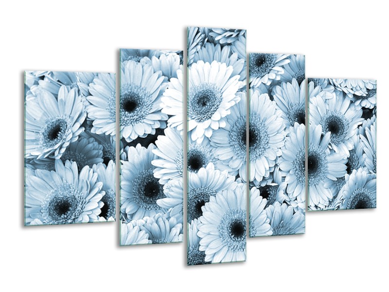 Glasschilderij Gerbera, Bloemen | Blauw, Grijs | 170x100cm 5Luik