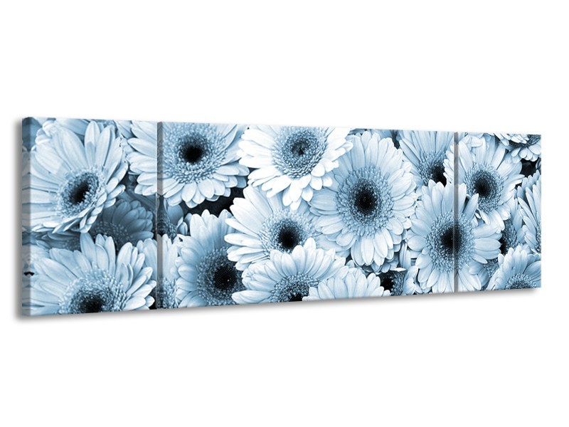 Canvas Schilderij Gerbera, Bloemen | Blauw, Grijs | 170x50cm 3Luik