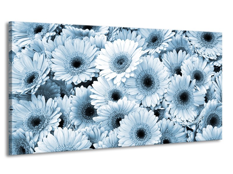 Canvas Schilderij Gerbera, Bloemen | Blauw, Grijs | 170x90cm 1Luik