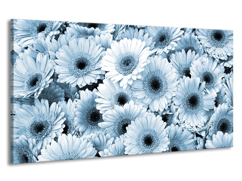 Canvas Schilderij Gerbera, Bloemen | Blauw, Grijs | 190x100cm 1Luik