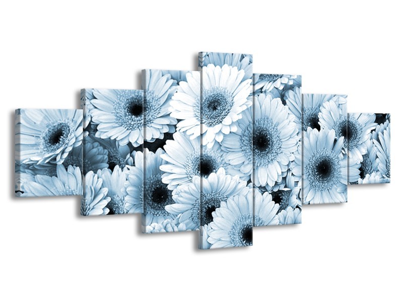 Glasschilderij Gerbera, Bloemen | Blauw, Grijs | 210x100cm 7Luik