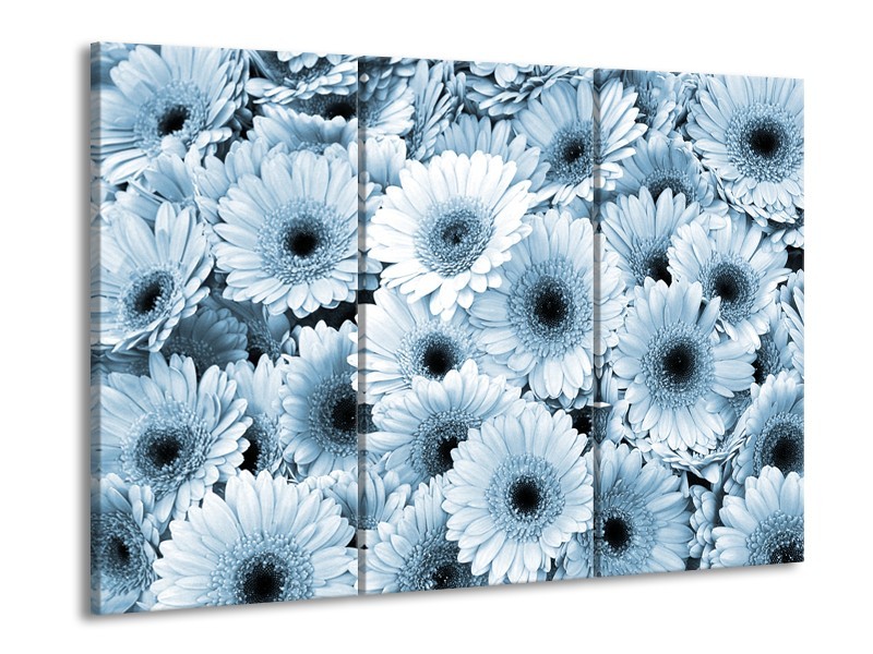 Canvas Schilderij Gerbera, Bloemen | Blauw, Grijs | 60x90cm 3Luik