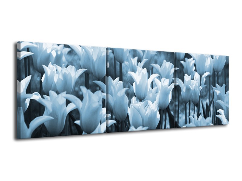 Canvas Schilderij Tulpen, Bloemen | Blauw, Grijs | 120x40cm 3Luik