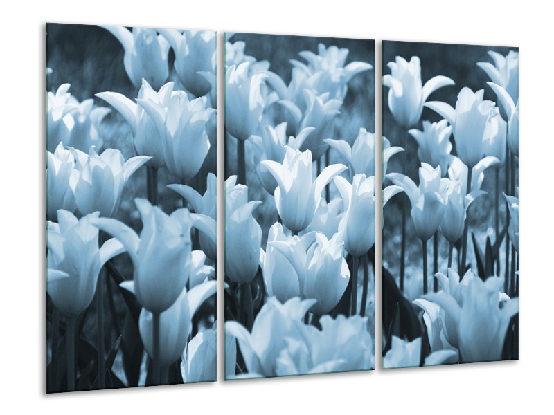 Canvas Schilderij Tulpen, Bloemen | Blauw, Grijs | 120x80cm 3Luik