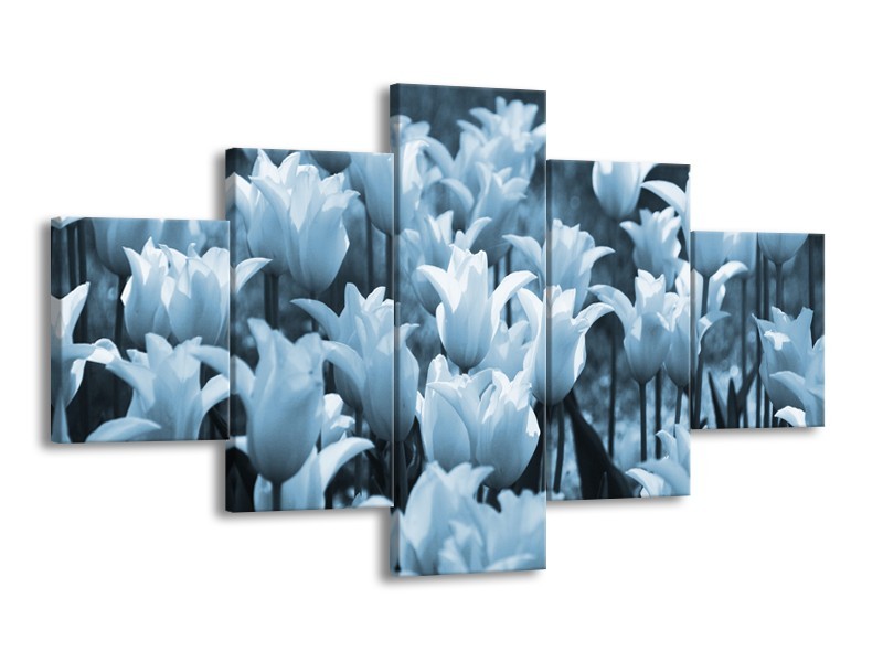 Glasschilderij Tulpen, Bloemen | Blauw, Grijs | 125x70cm 5Luik