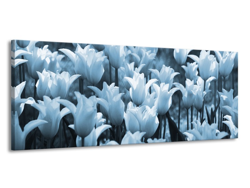 Canvas Schilderij Tulpen, Bloemen | Blauw, Grijs | 145x58cm 1Luik