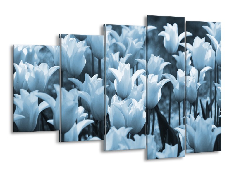 Glasschilderij Tulpen, Bloemen | Blauw, Grijs | 150x100cm 5Luik