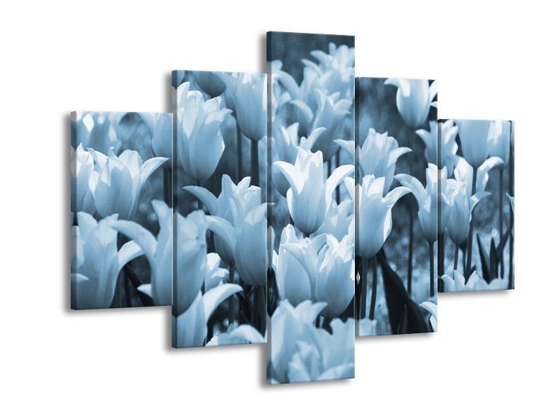 Glasschilderij Tulpen, Bloemen | Blauw, Grijs | 150x105cm 5Luik