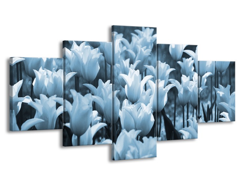 Glasschilderij Tulpen, Bloemen | Blauw, Grijs | 150x80cm 5Luik