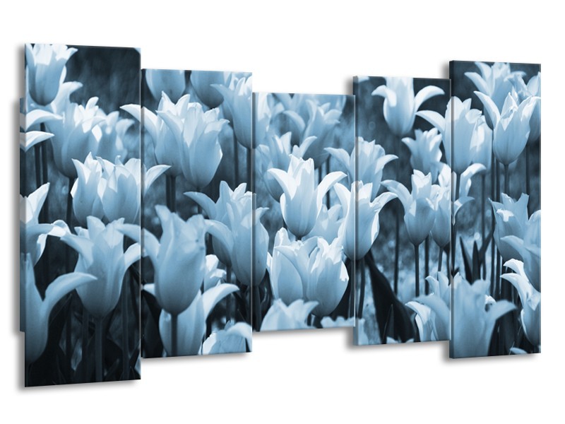 Glasschilderij Tulpen, Bloemen | Blauw, Grijs | 150x80cm 5Luik