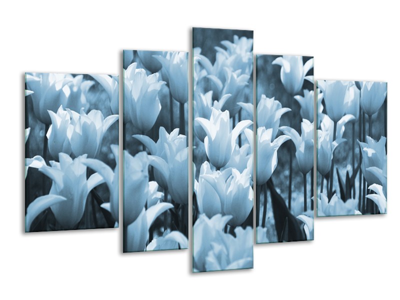 Canvas Schilderij Tulpen, Bloemen | Blauw, Grijs | 170x100cm 5Luik