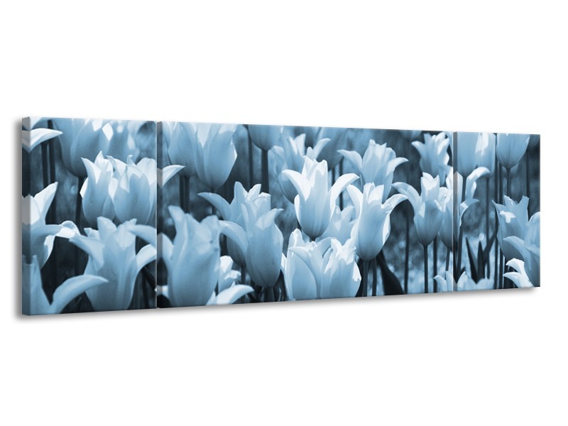 Canvas Schilderij Tulpen, Bloemen | Blauw, Grijs | 170x50cm 3Luik