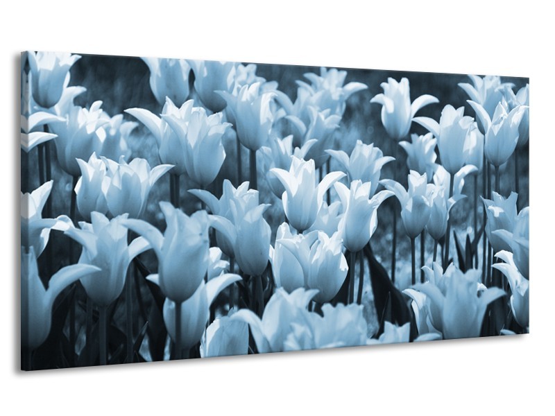 Canvas Schilderij Tulpen, Bloemen | Blauw, Grijs | 170x90cm 1Luik