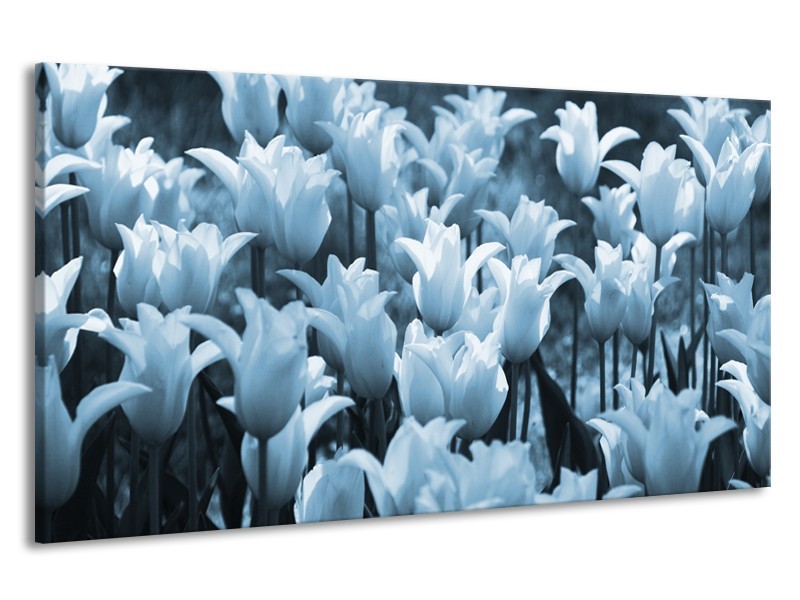 Canvas Schilderij Tulpen, Bloemen | Blauw, Grijs | 190x100cm 1Luik