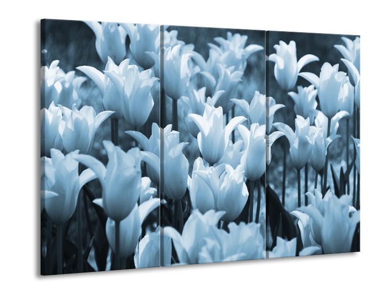 Canvas Schilderij Tulpen, Bloemen | Blauw, Grijs | 60x90cm 3Luik