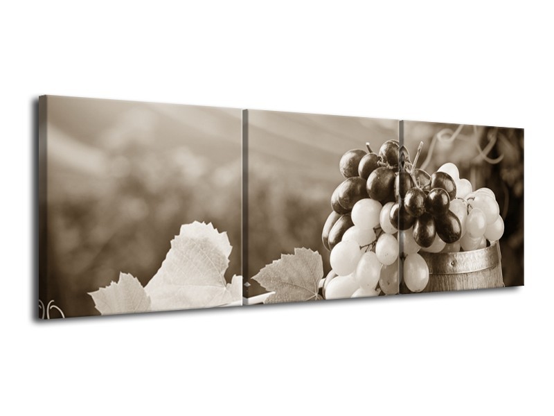 Glasschilderij Druiven, Keuken | Sepia | 120x40cm 3Luik
