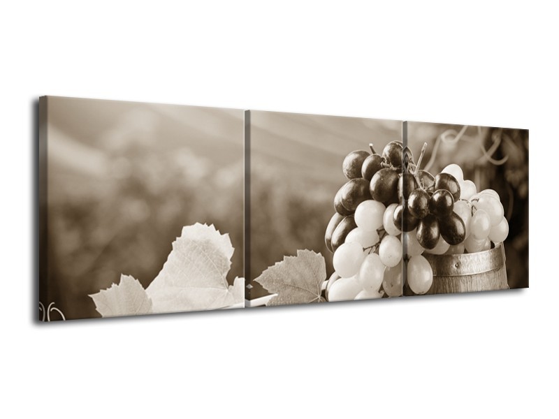 Canvas Schilderij Druiven, Keuken | Sepia | 120x40cm 3Luik