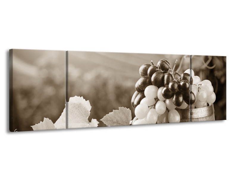 Glasschilderij Druiven, Keuken | Sepia | 170x50cm 3Luik