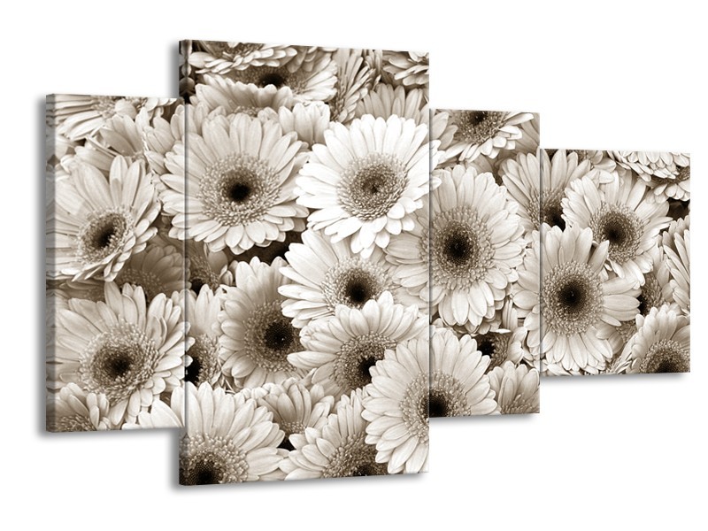 Canvas Schilderij Gerbera, Bloemen | Sepia | 120x75cm 4Luik