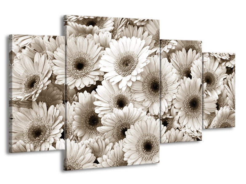 Glasschilderij Gerbera, Bloemen | Sepia | 160x90cm 4Luik