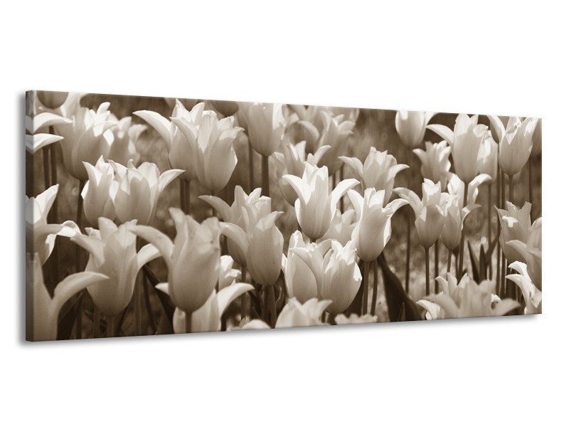 Canvas Schilderij Tulpen, Bloemen | Sepia | 145x58cm 1Luik