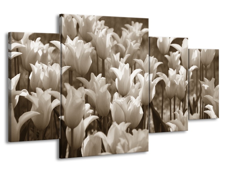 Glasschilderij Tulpen, Bloemen | Sepia | 160x90cm 4Luik