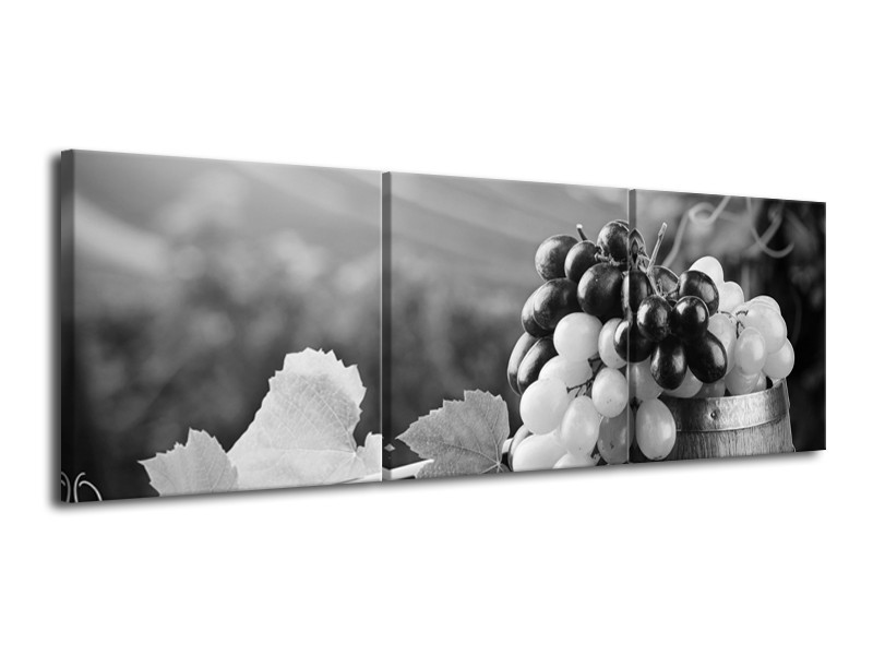 Glasschilderij Druiven, Keuken | Zwart, Grijs | 120x40cm 3Luik