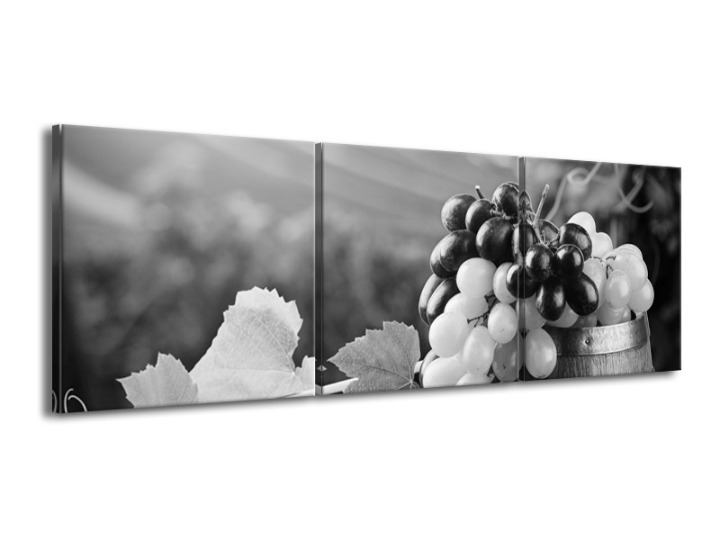 Glasschilderij Druiven, Keuken | Zwart, Grijs | 150x50cm 3Luik