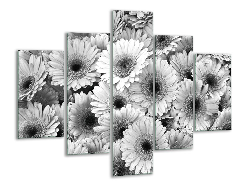 Glasschilderij Gerbera, Bloemen | Zwart, Grijs | 100x70cm 5Luik