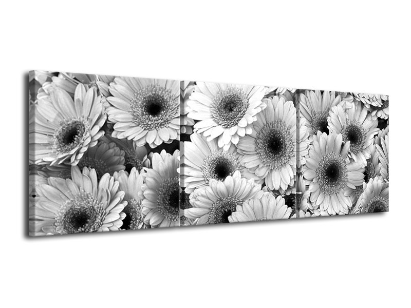 Canvas Schilderij Gerbera, Bloemen | Zwart, Grijs | 120x40cm 3Luik