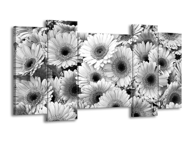 Canvas Schilderij Gerbera, Bloemen | Zwart, Grijs | 120x65cm 5Luik