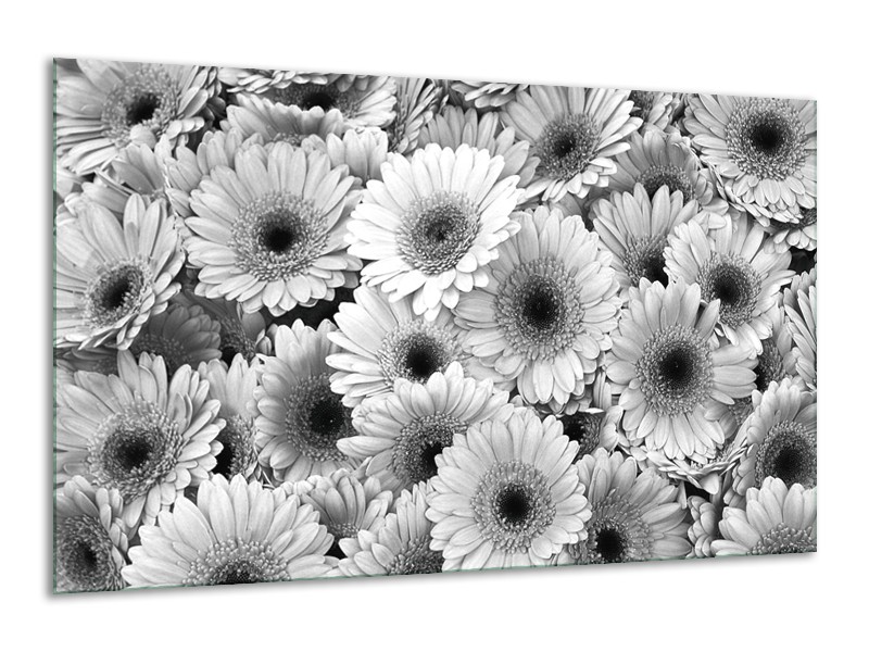 Glasschilderij Gerbera, Bloemen | Zwart, Grijs | 120x70cm 1Luik