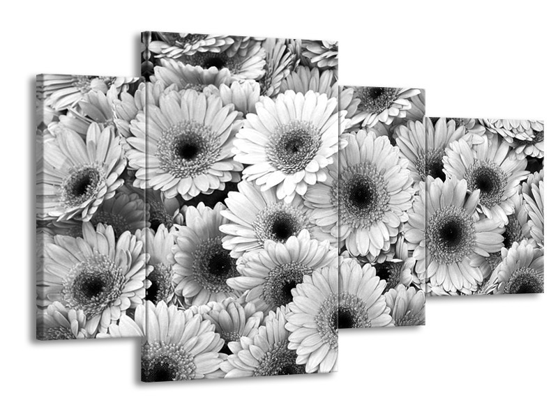 Canvas Schilderij Gerbera, Bloemen | Zwart, Grijs | 120x75cm 4Luik