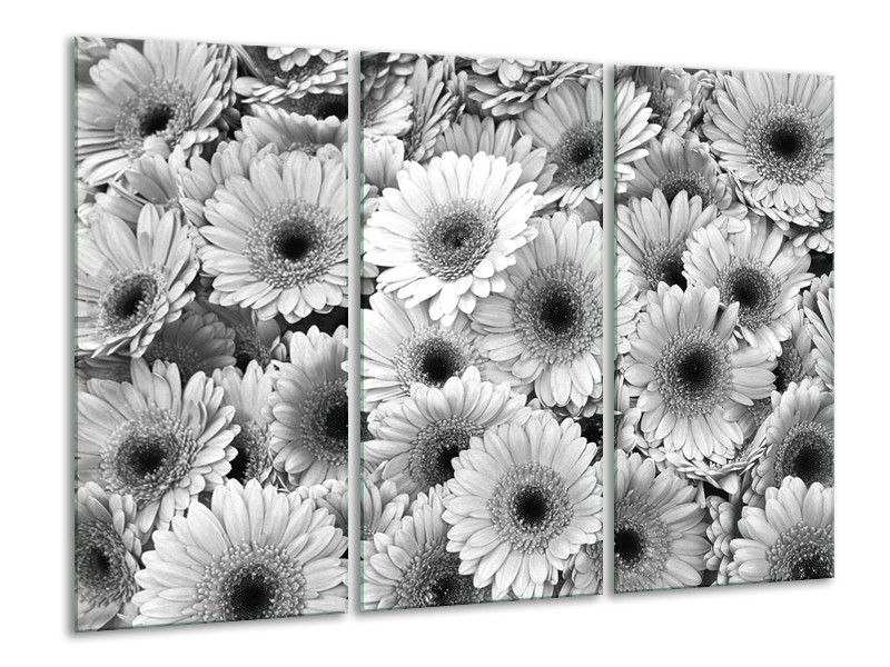 Canvas Schilderij Gerbera, Bloemen | Zwart, Grijs | 120x80cm 3Luik