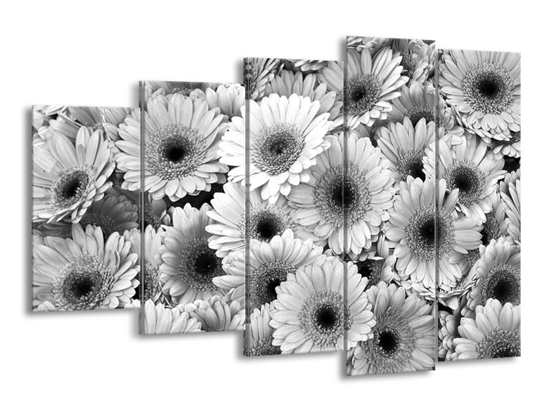 Canvas Schilderij Gerbera, Bloemen | Zwart, Grijs | 150x100cm 5Luik