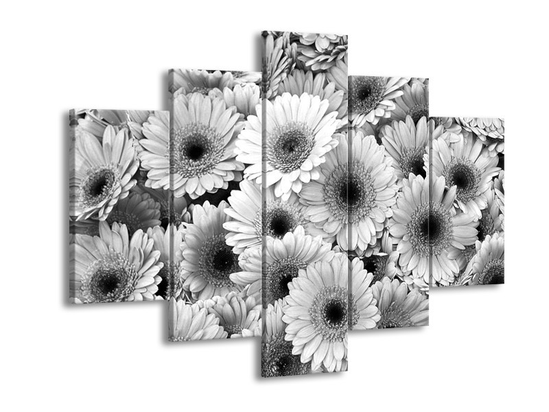 Canvas Schilderij Gerbera, Bloemen | Zwart, Grijs | 150x105cm 5Luik