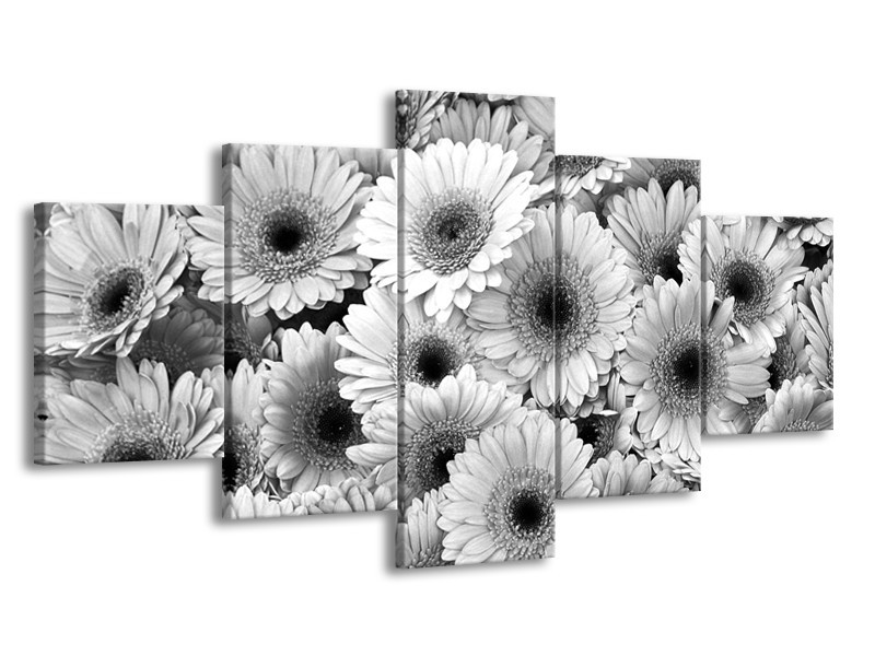 Glasschilderij Gerbera, Bloemen | Zwart, Grijs | 150x80cm 5Luik