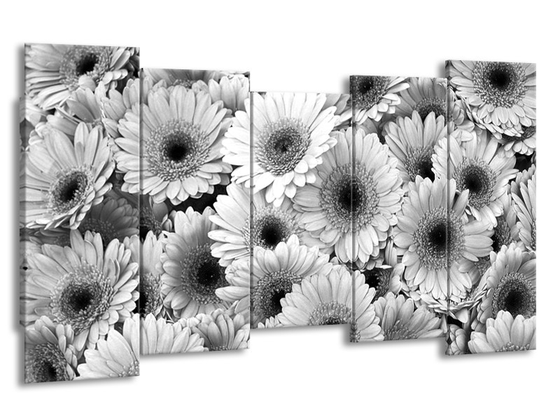 Glasschilderij Gerbera, Bloemen | Zwart, Grijs | 150x80cm 5Luik