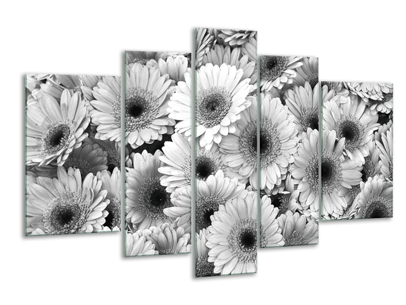 Canvas Schilderij Gerbera, Bloemen | Zwart, Grijs | 170x100cm 5Luik