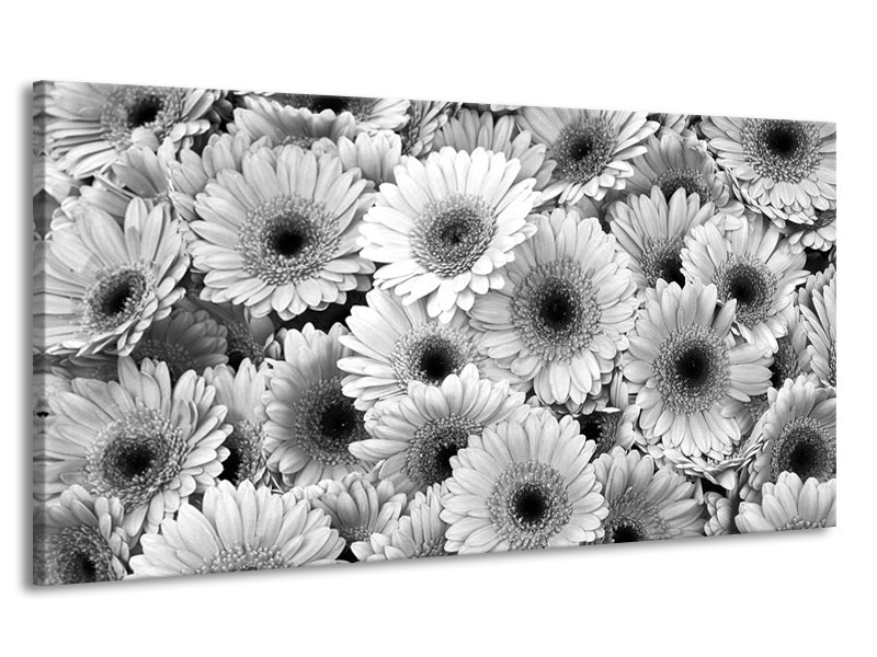 Canvas Schilderij Gerbera, Bloemen | Zwart, Grijs | 170x90cm 1Luik