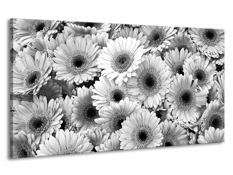 Canvas Schilderij Gerbera, Bloemen | Zwart, Grijs | 190x100cm 1Luik