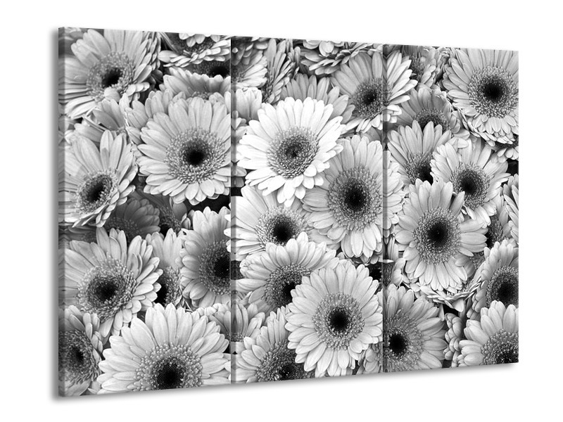 Canvas Schilderij Gerbera, Bloemen | Zwart, Grijs | 60x90cm 3Luik