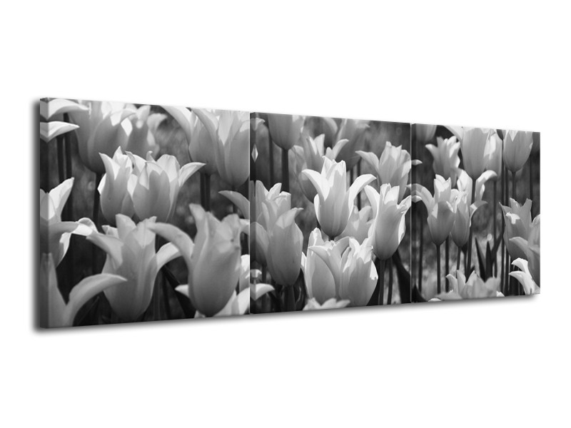Canvas Schilderij Tulpen, Bloemen | Zwart, Grijs | 120x40cm 3Luik